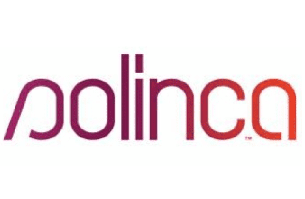 Solinca Logo Parceiro CEFAD